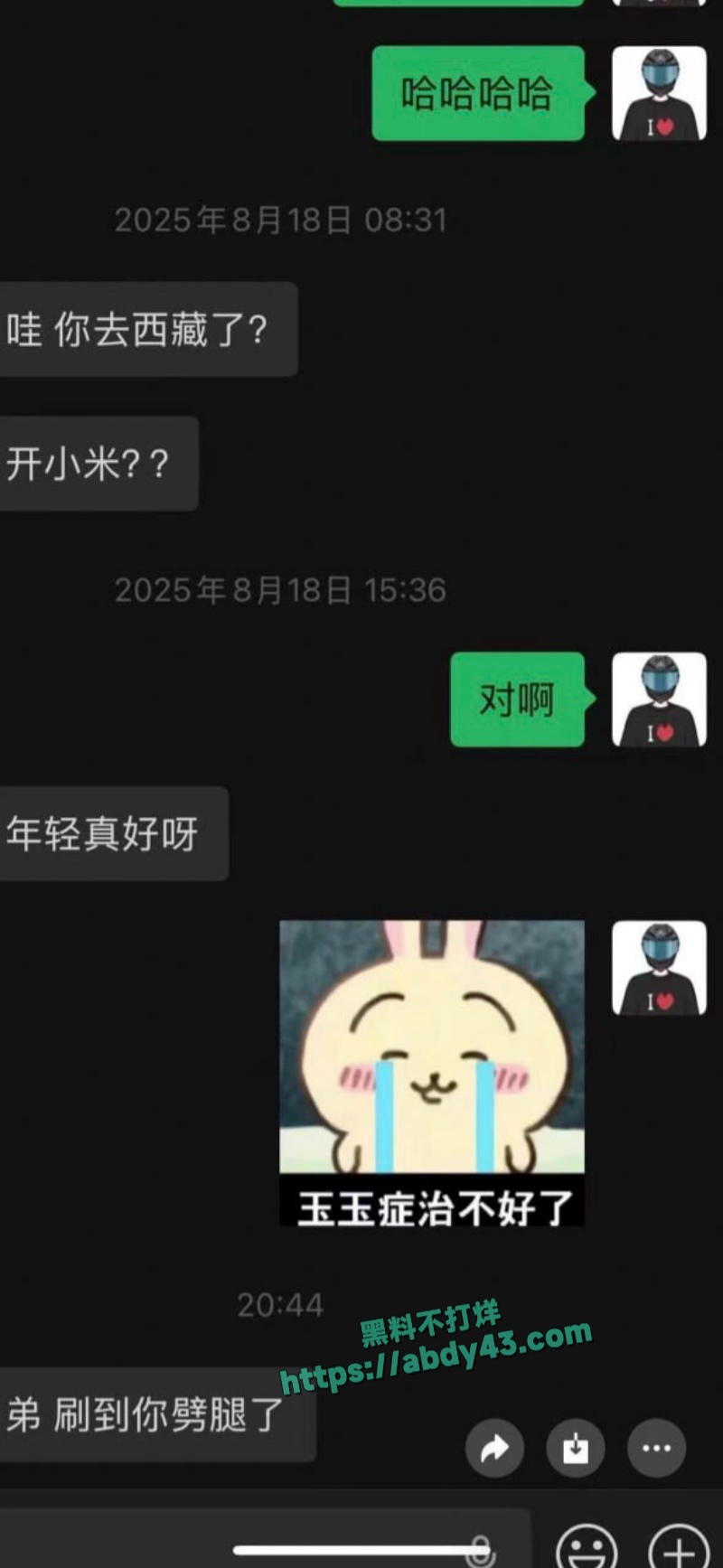 武汉W车队不吃猪肝 32