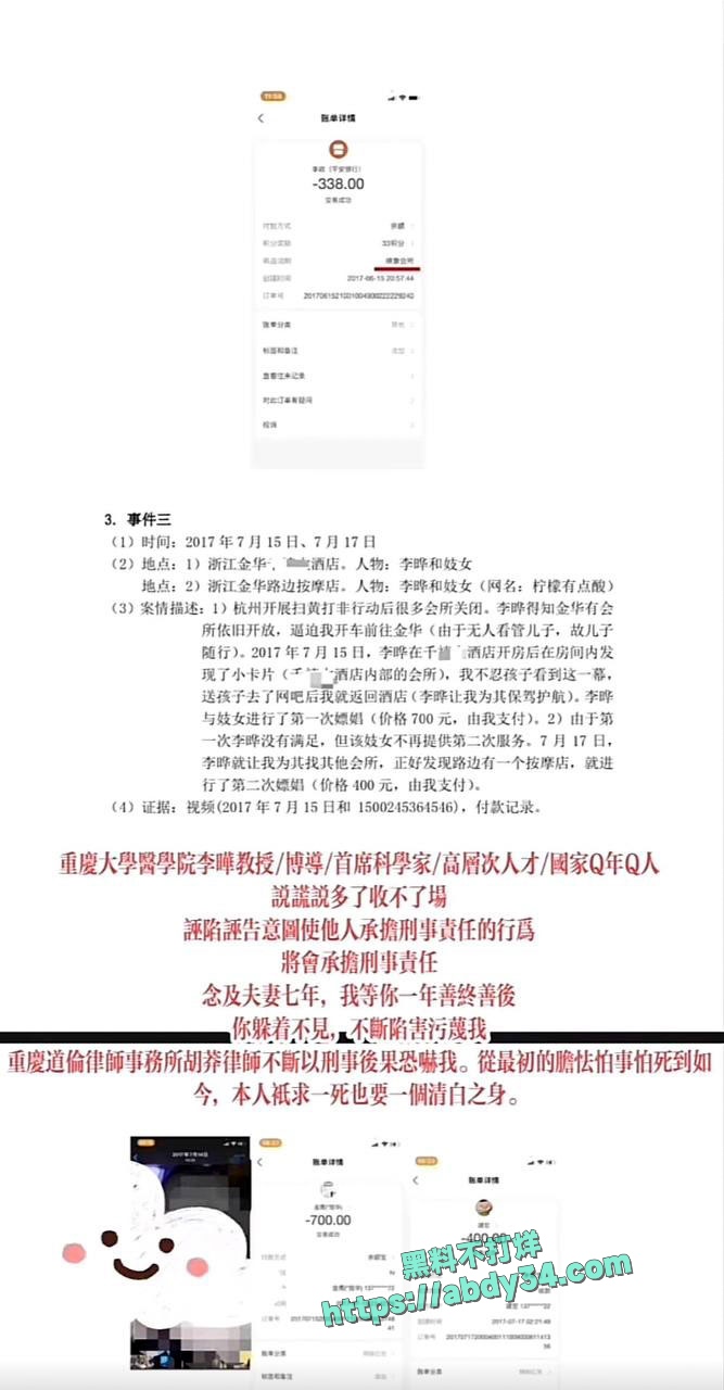 PDF列举李晔罪状2