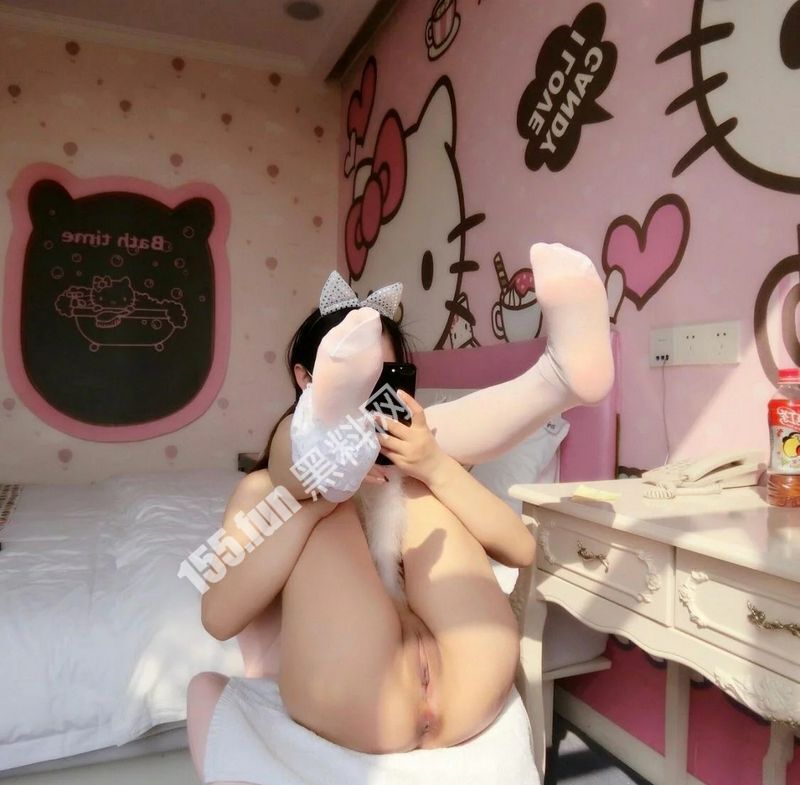 饲养的小奶猫