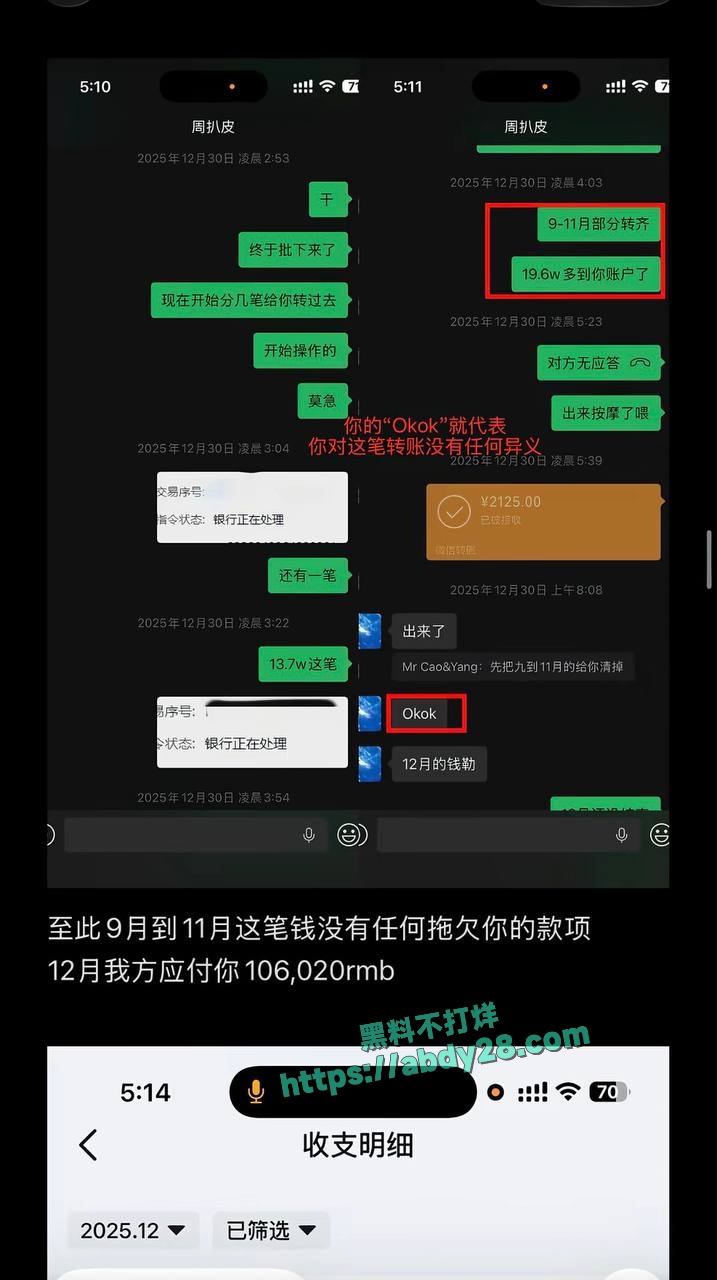 百万粉网红女王殿下塌房 45