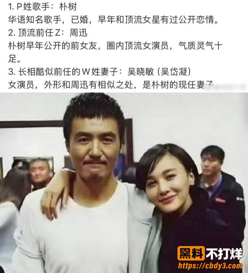 歌手朴树出轨演员王子文03