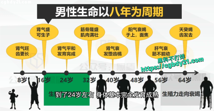 硬核十增4