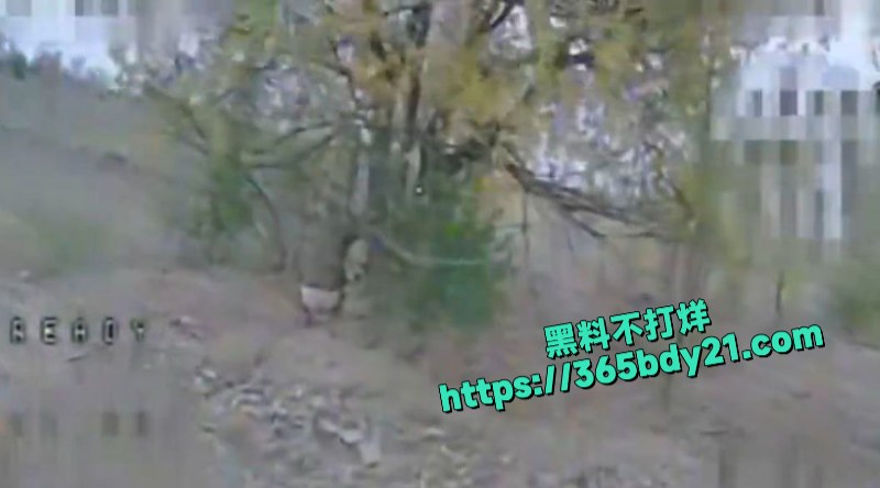 乌克兰第414旅无人机攻击画面最新流出 4