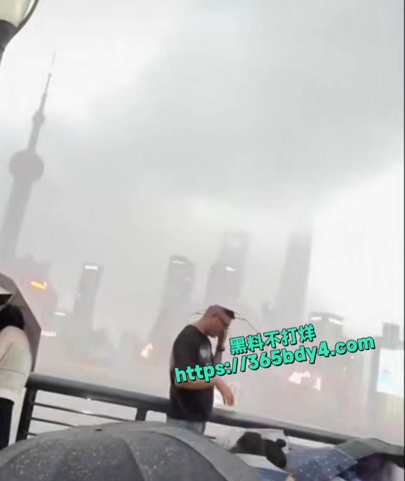 台风竹节草导致上海黄浦江水倒灌