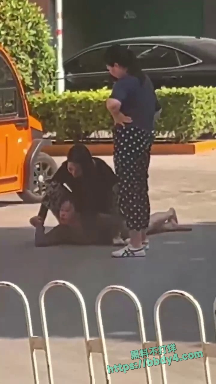 愤怒正妻当街暴打小三06