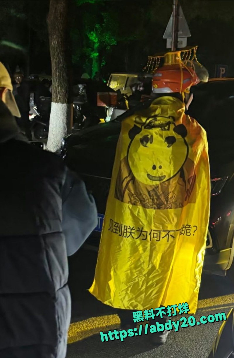 合能璞丽物业禁电动车 4