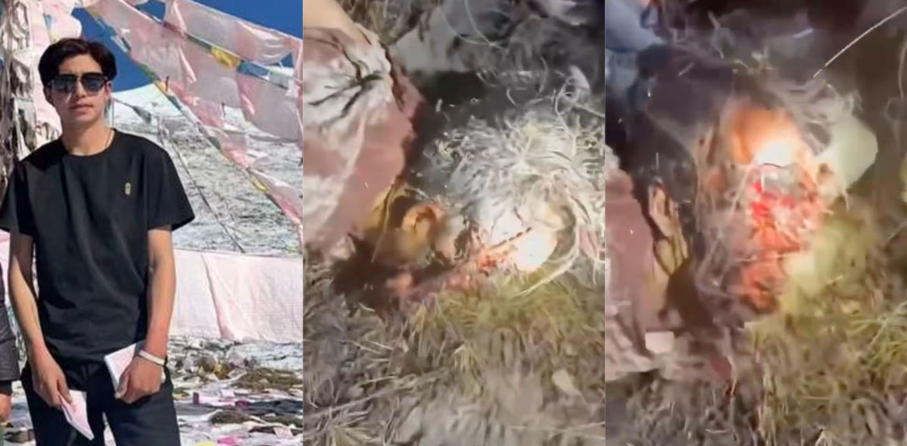 胆小瓜友请慎点！网上疯传的西藏旅游狗熊吃人事件 现场完整视频来了