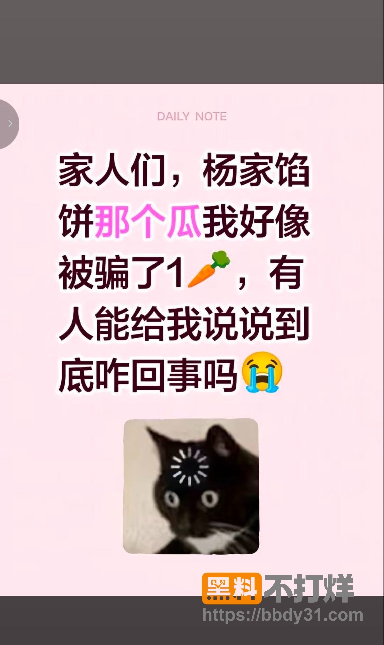 杨家馅饼老板娘辛能能3