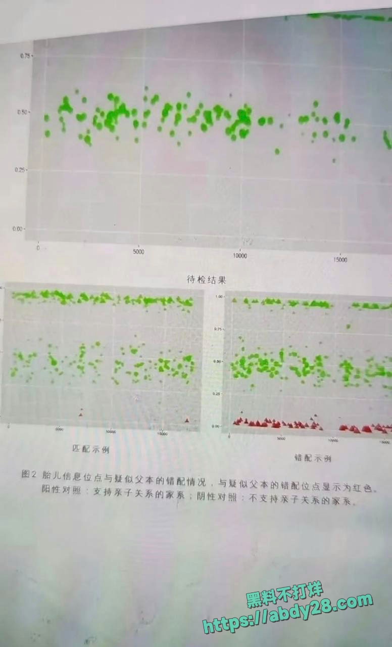 4000点分析师谭珺爆料怀了广发基金杨冬孩子 14