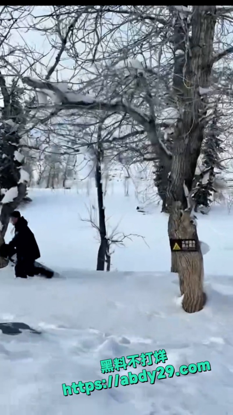 新疆可可托海发生雪豹伤人事件 9