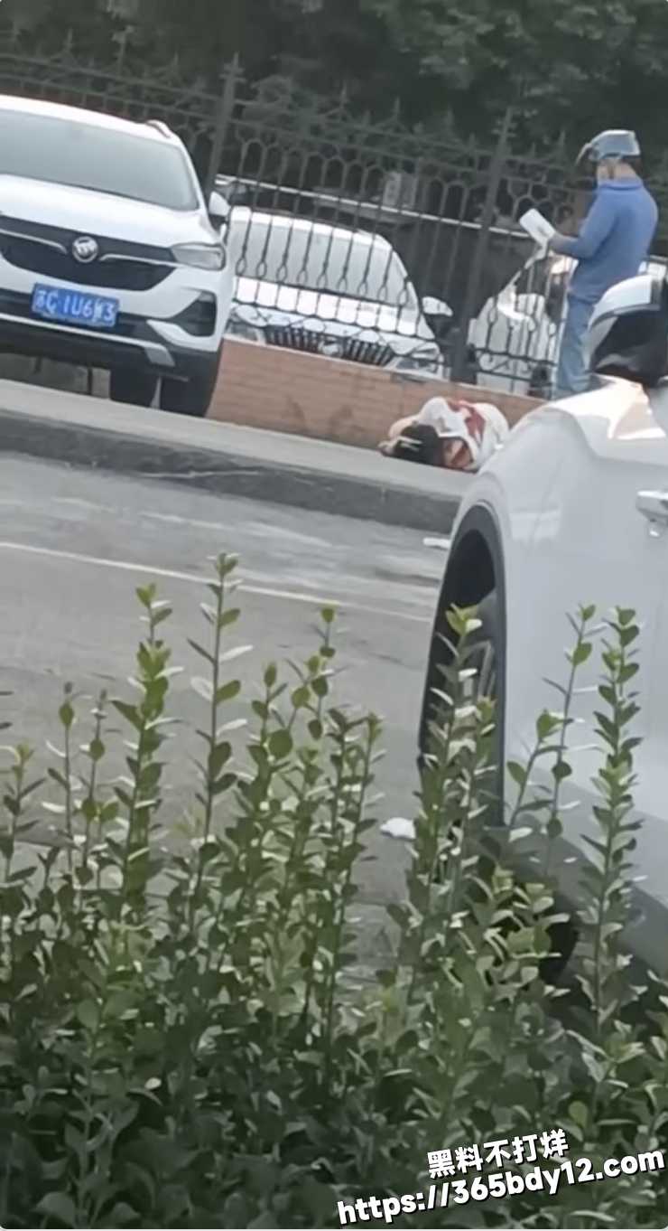 玫瑰家园3