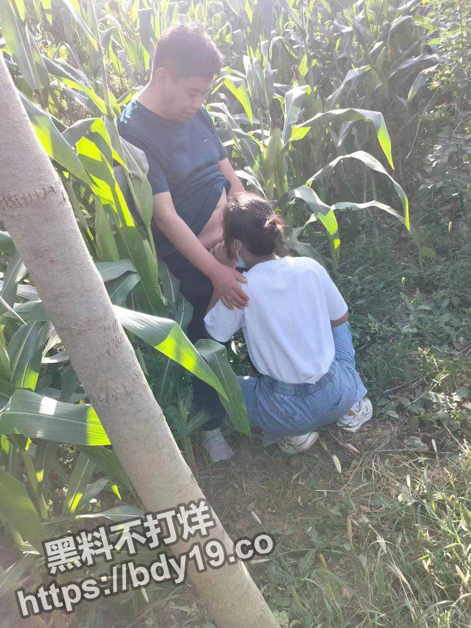 山东省卖冬枣女老板李淑红.jpg