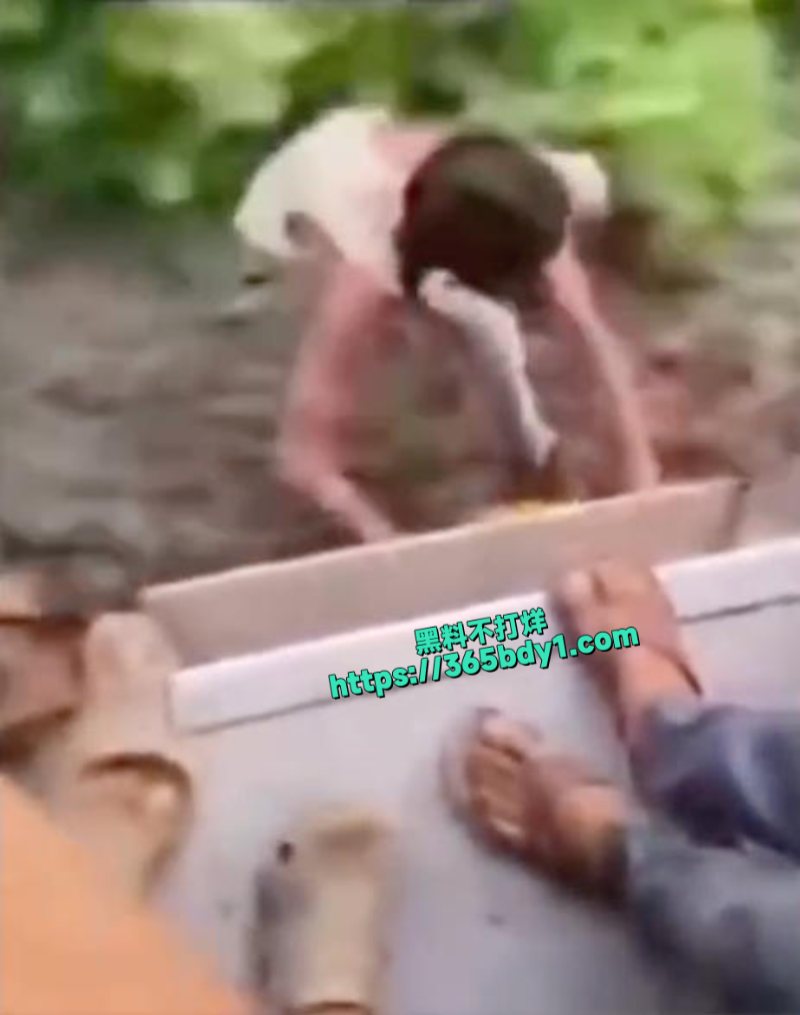 小偷在行驶中的火车上偷手机后跳下去的视频走红8