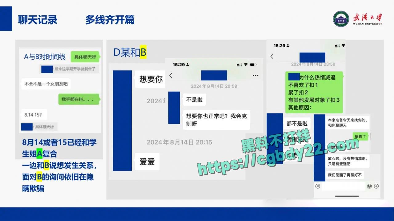 武汉大学副教授段磊出轨多名学生13