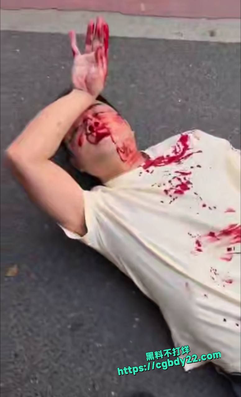 广东潮汕车祸撞人拦车4