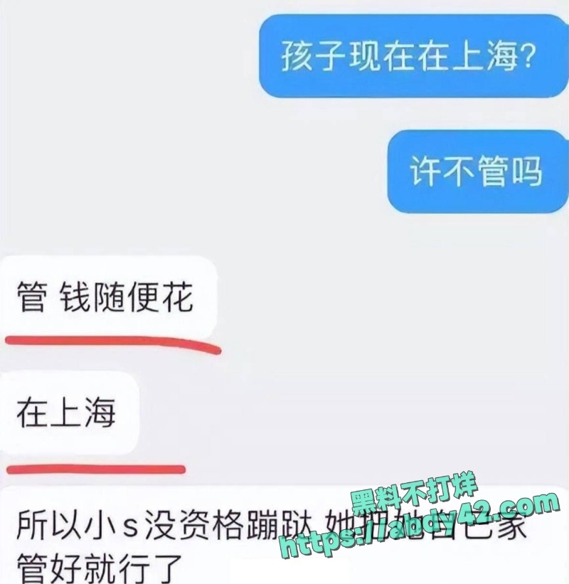 曝许雅钧给粉丝发大S出殡照片 26