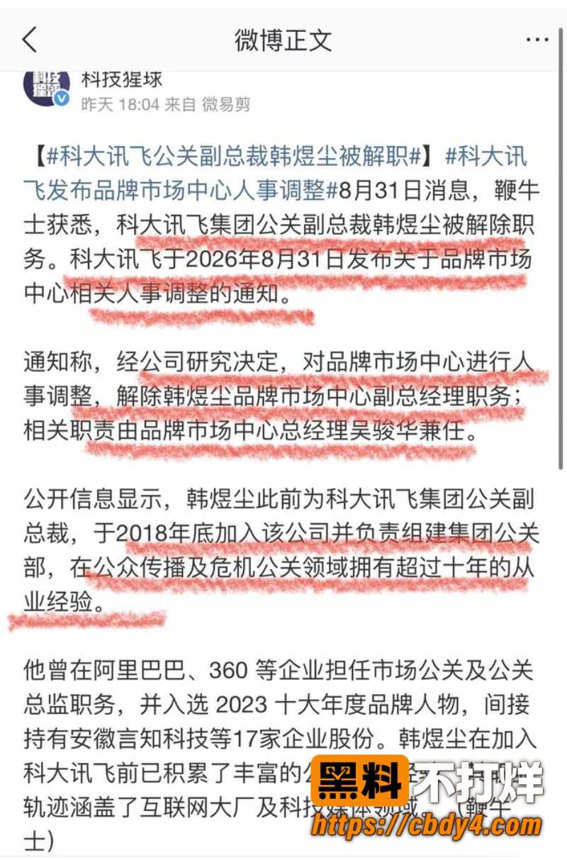 科大讯飞公关副总韩煜尘 4