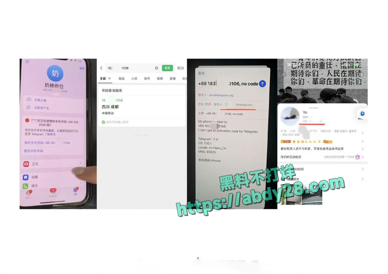 四川绵阳经济合作局公职人员李林林 6