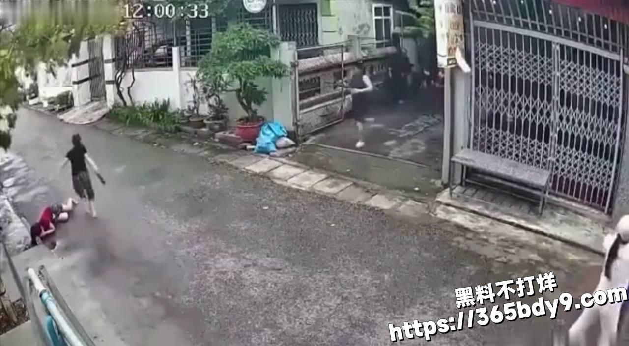 越南砍人现场视频2