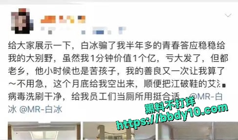 白冰资料1