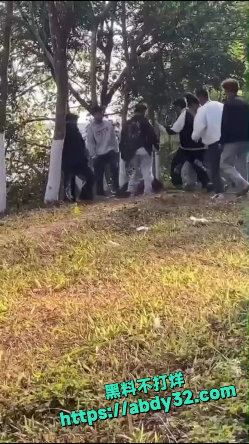 精神小伙团架霸凌 8