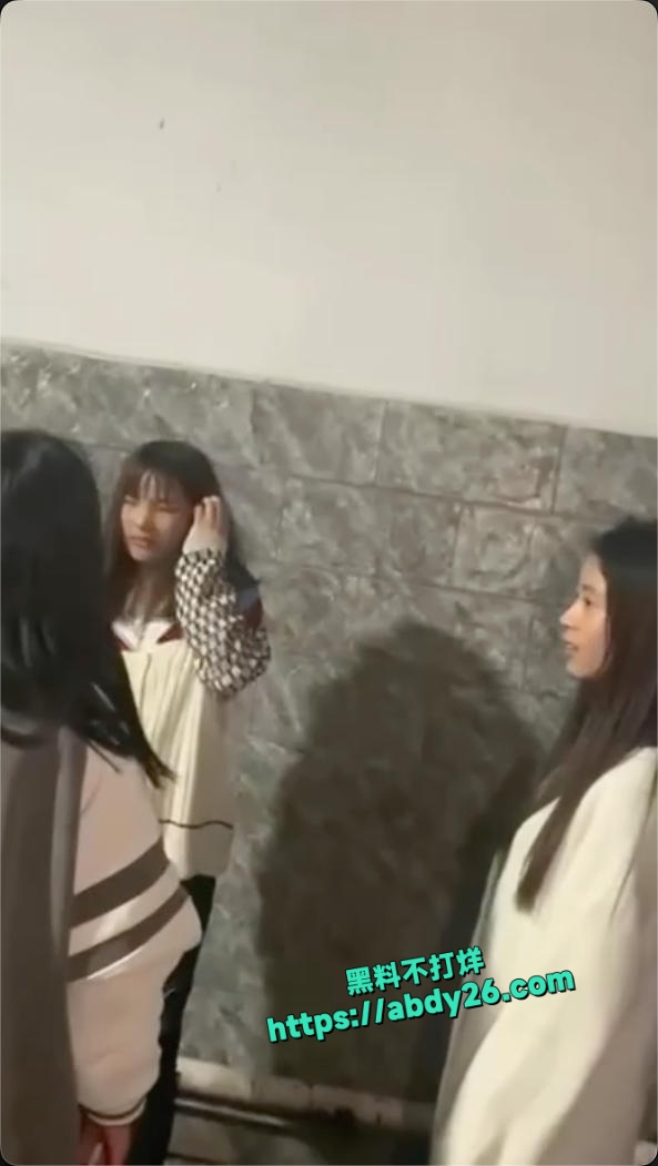 河南小妹被精神小妹围殴霸凌 11
