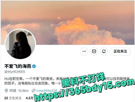 不爱飞的海燕空姐私拍 13.