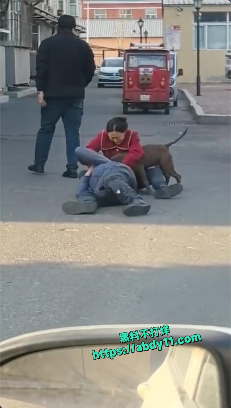 大爷被街头恶狗拼命撕咬不松口 10