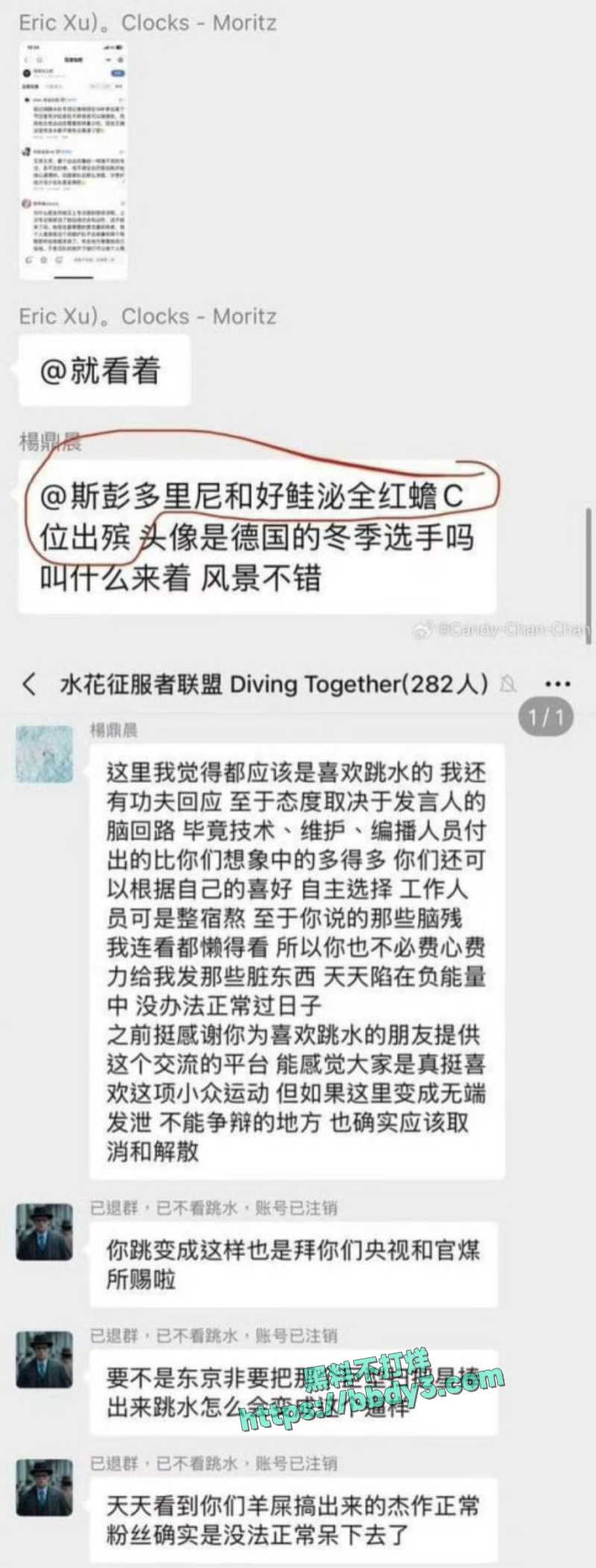 跳水冠军全红婵遭网暴 8