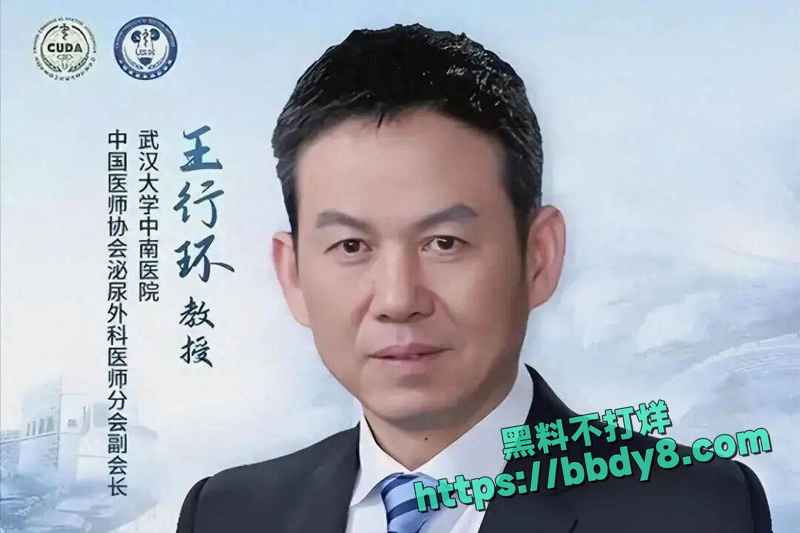中南大学医院院长雷神山原院长王行环42