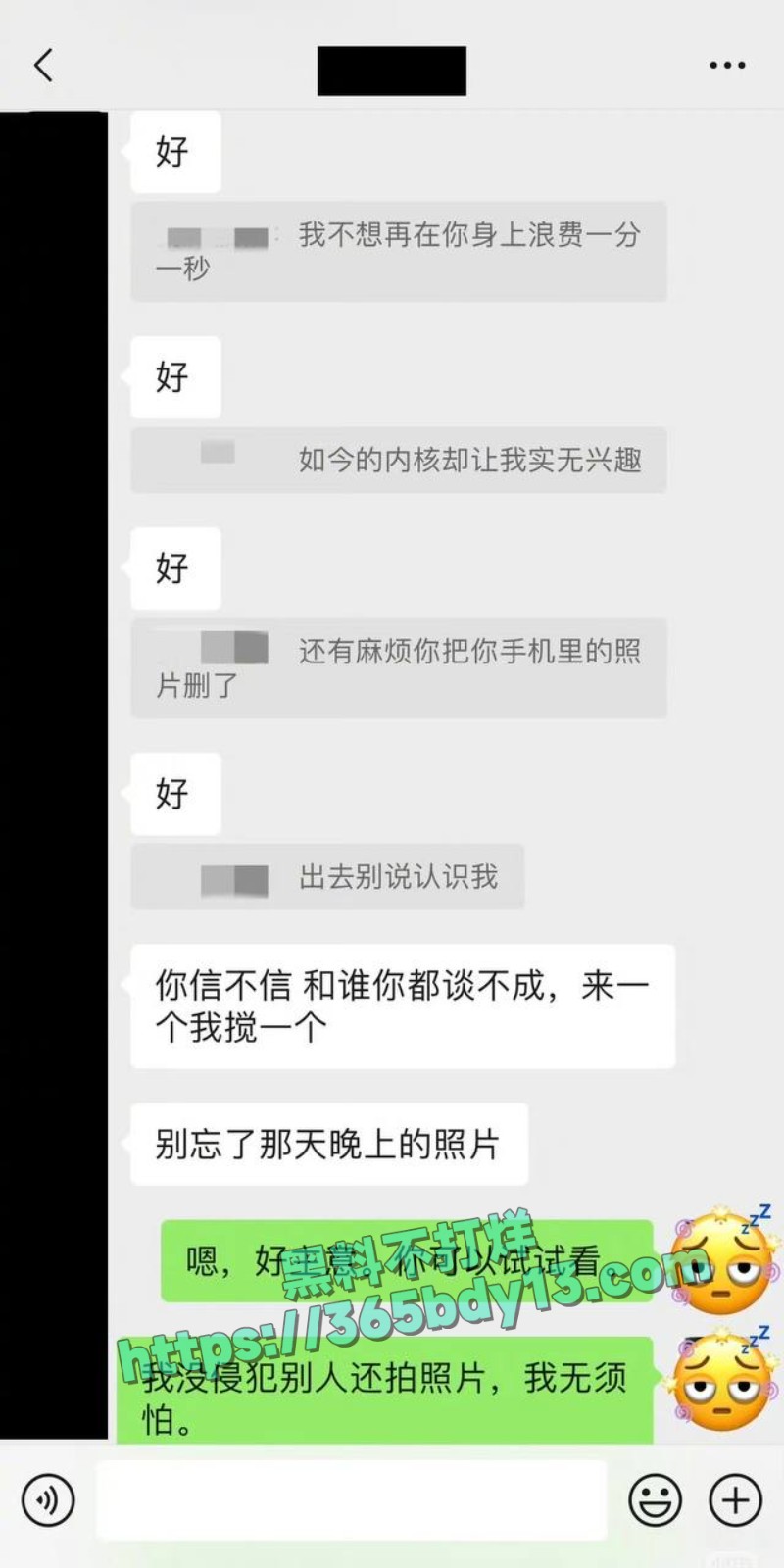 女网友与魏大勋聊天记录4