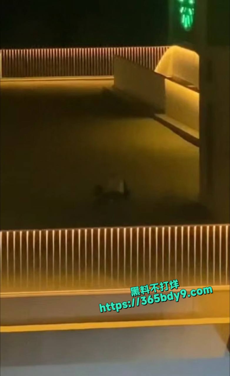 在楼顶做爱被偷拍