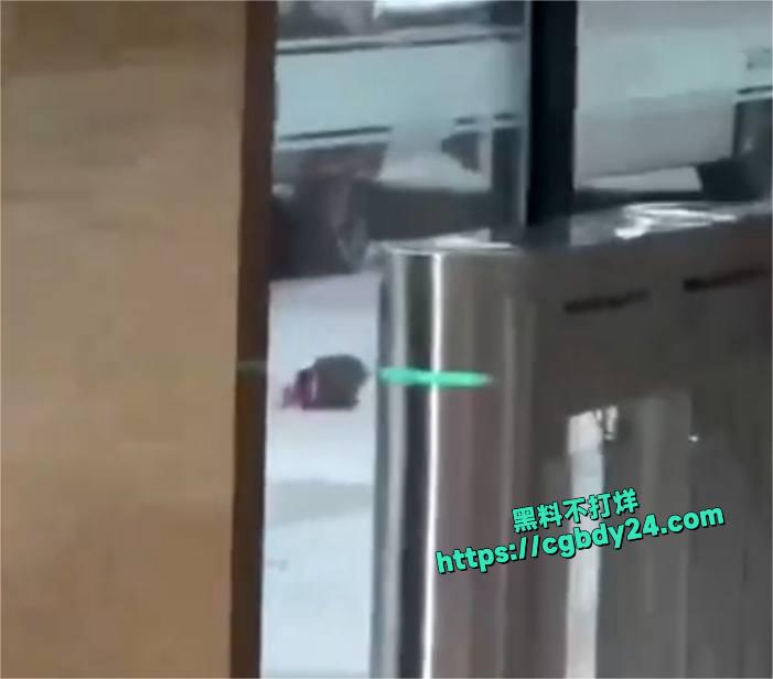 深圳龙华新龙大厦2