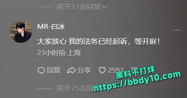 白冰照片和作品3