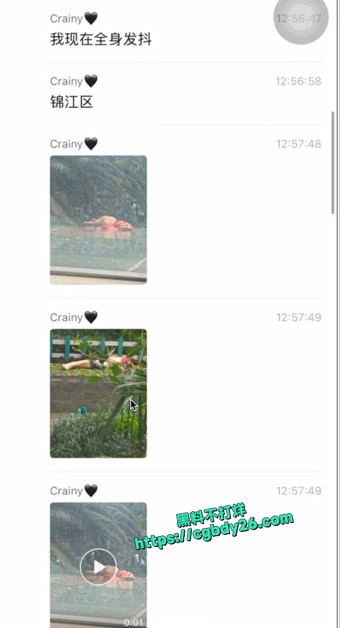 锦江区大慈寺路3号发生一起高坠警情2