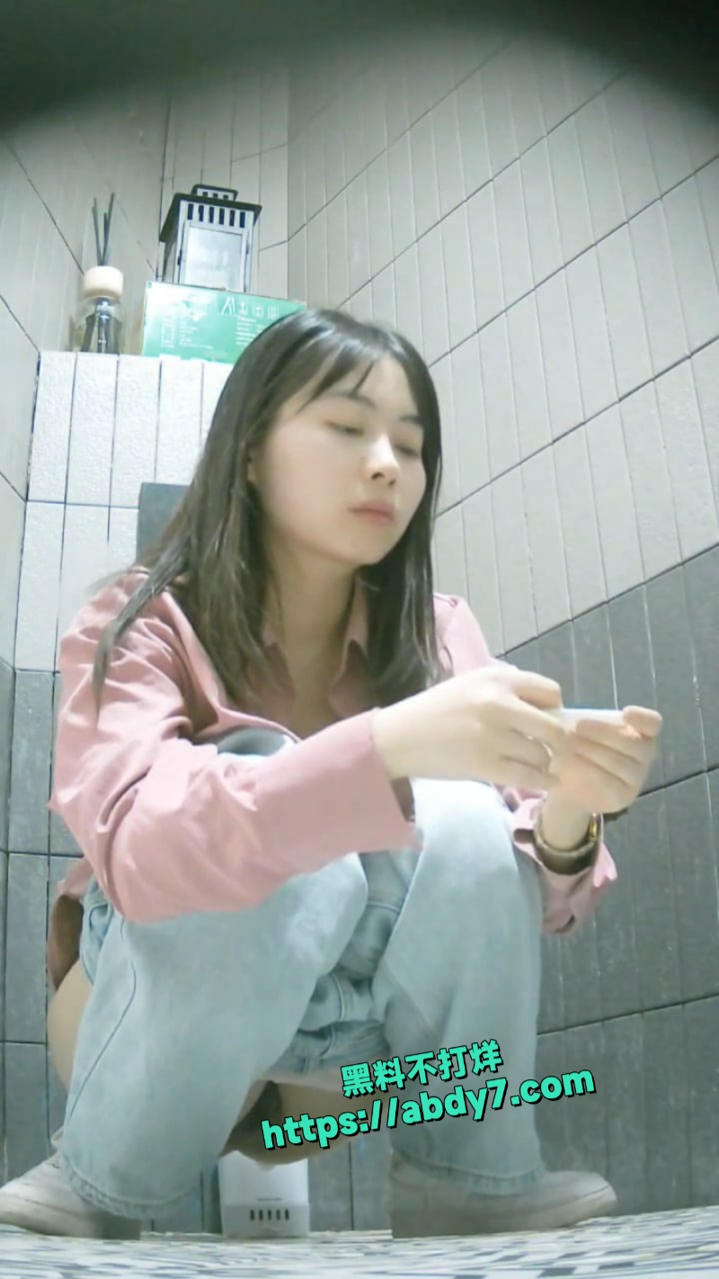 高速服务区女厕隐秘针孔偷录 4