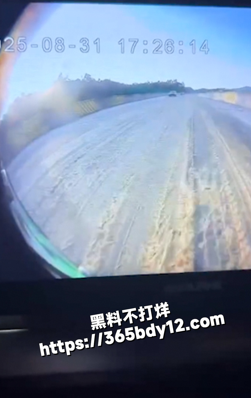 收费站拉屎车3