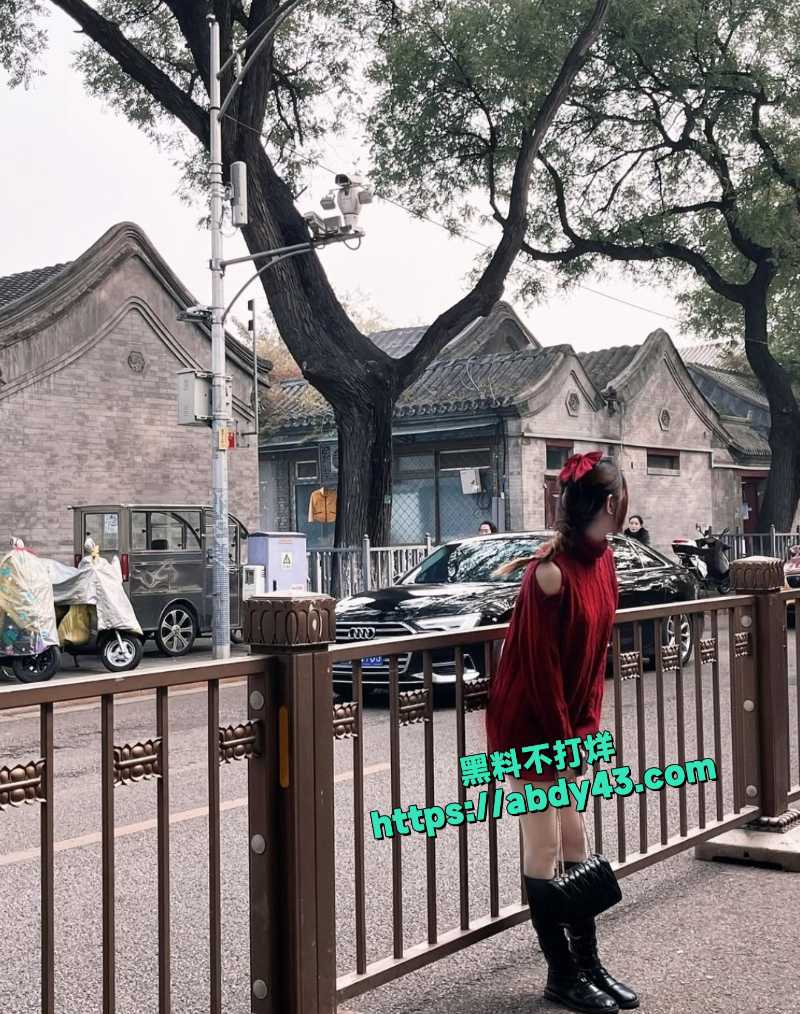 新加坡小网美 4