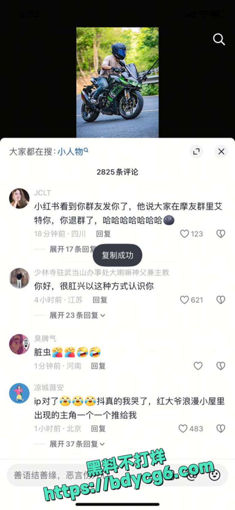 来都来了哥5