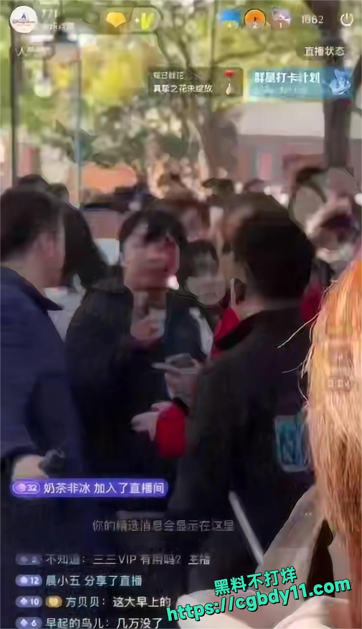 上海迪士尼黄牛4