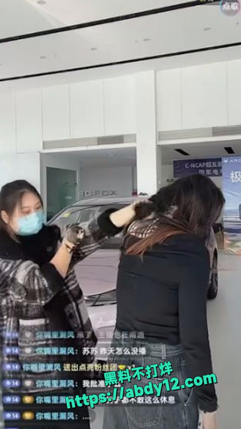 南通极狐4S店女销售 12