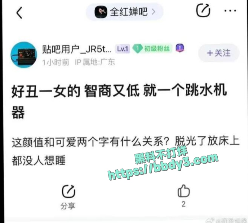 跳水冠军全红婵遭网暴 13