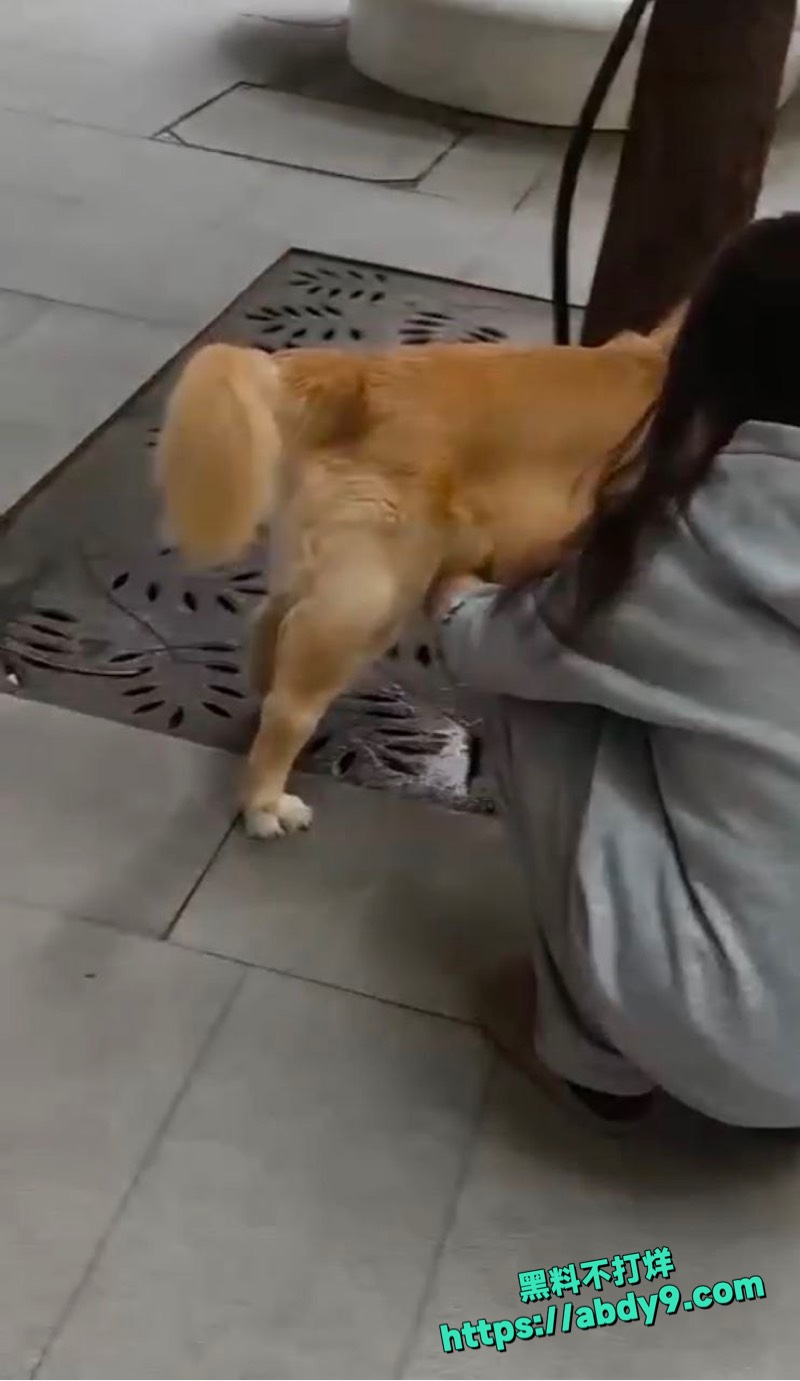 妹子早中晚撸狗鸡巴三次5