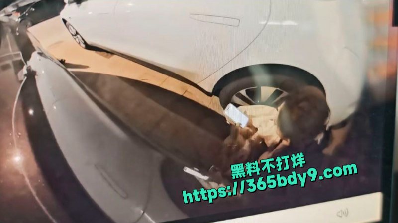 美女怎么这么喜欢到车边上撒尿啊2