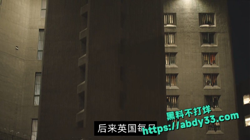 爱泼斯坦死亡谜团解开 29