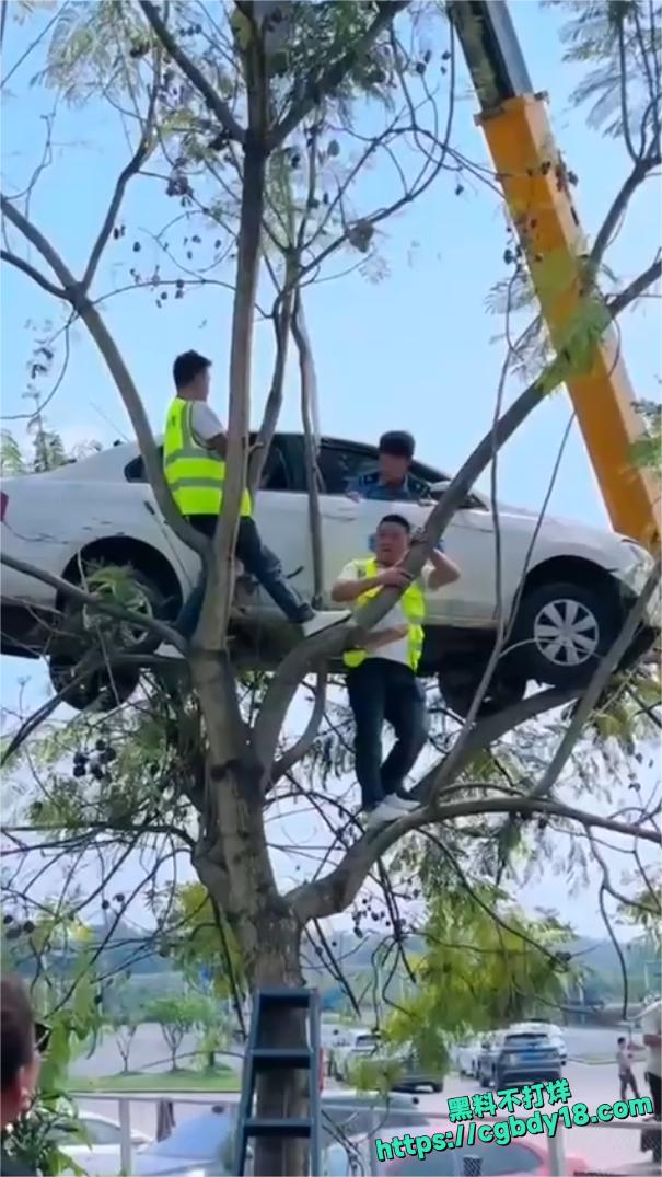 宜宾长宁飞车 上树1