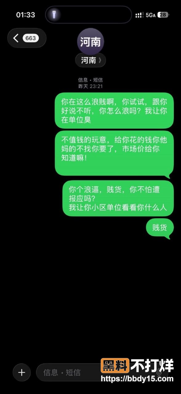 渣男与小三薛小芳13