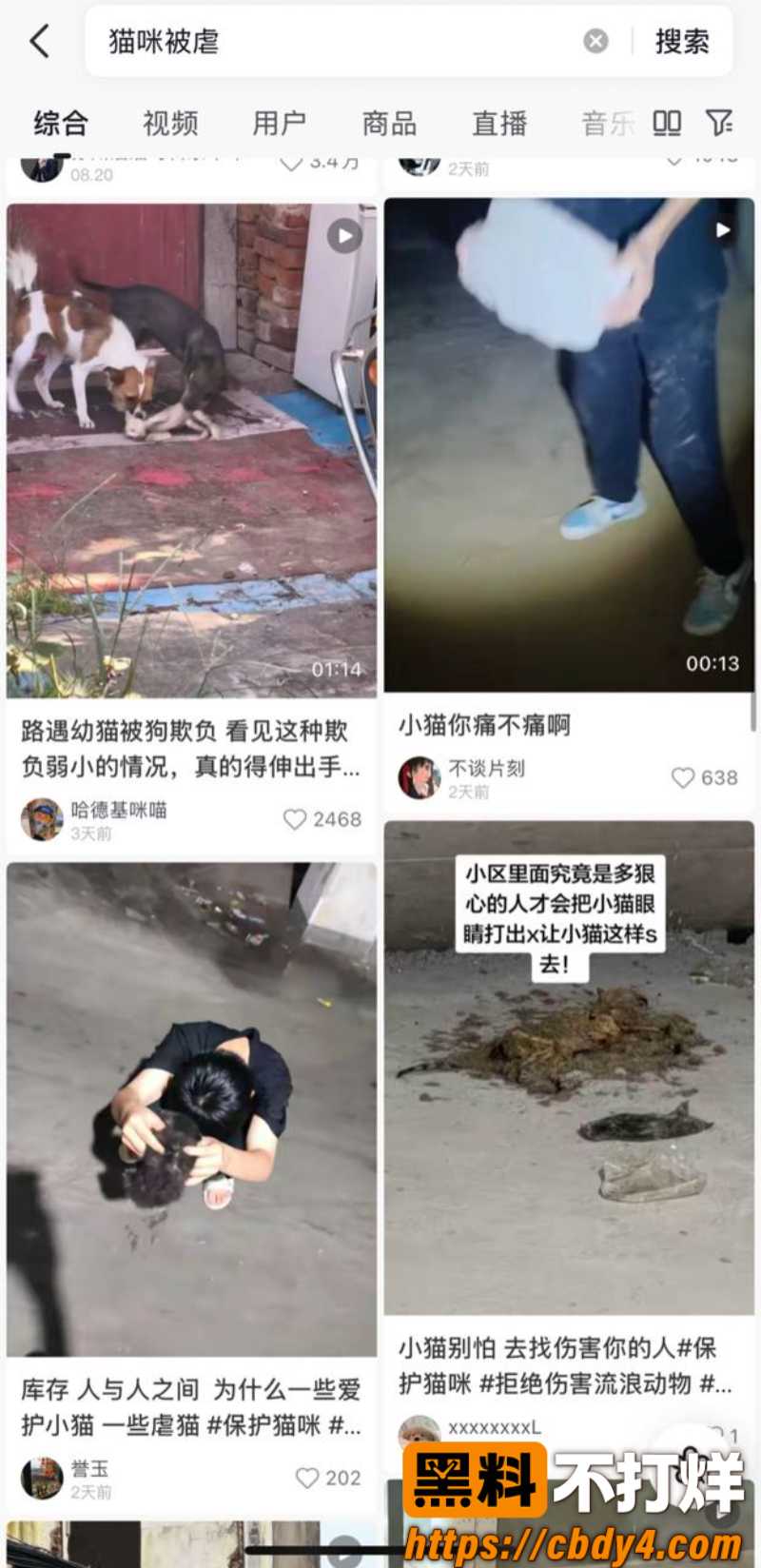 快手张凯杰13