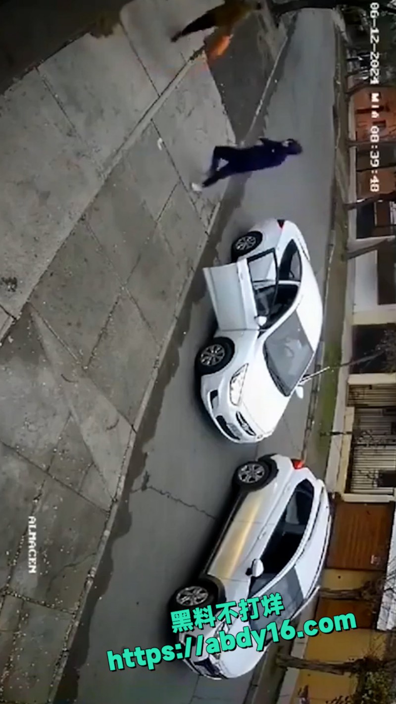 中国友好战略伙伴 29