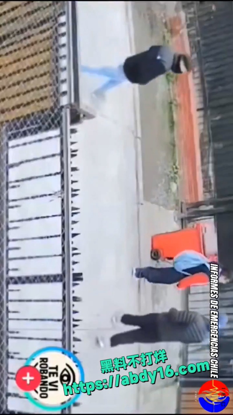 中国友好战略伙伴 31